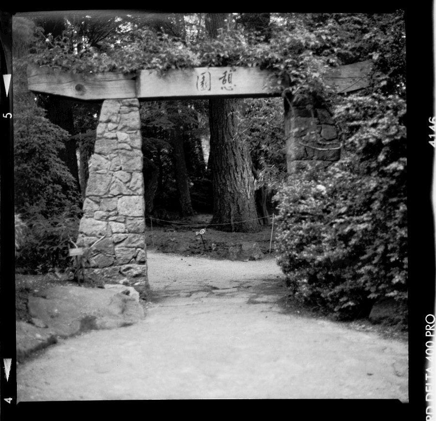 Japanese meditation garden entrance in Van Dusen Botanic Garden, Vancouver, BC. 